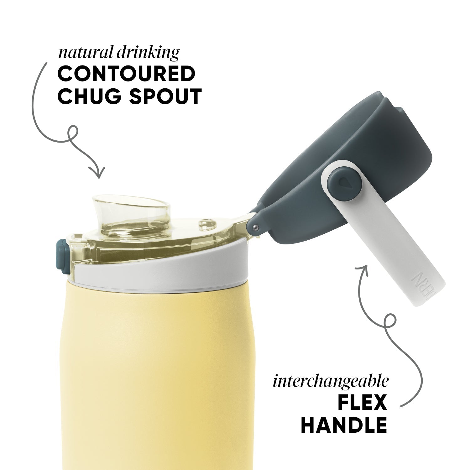 Mesa Sport with Covered Chug - Golden Bear