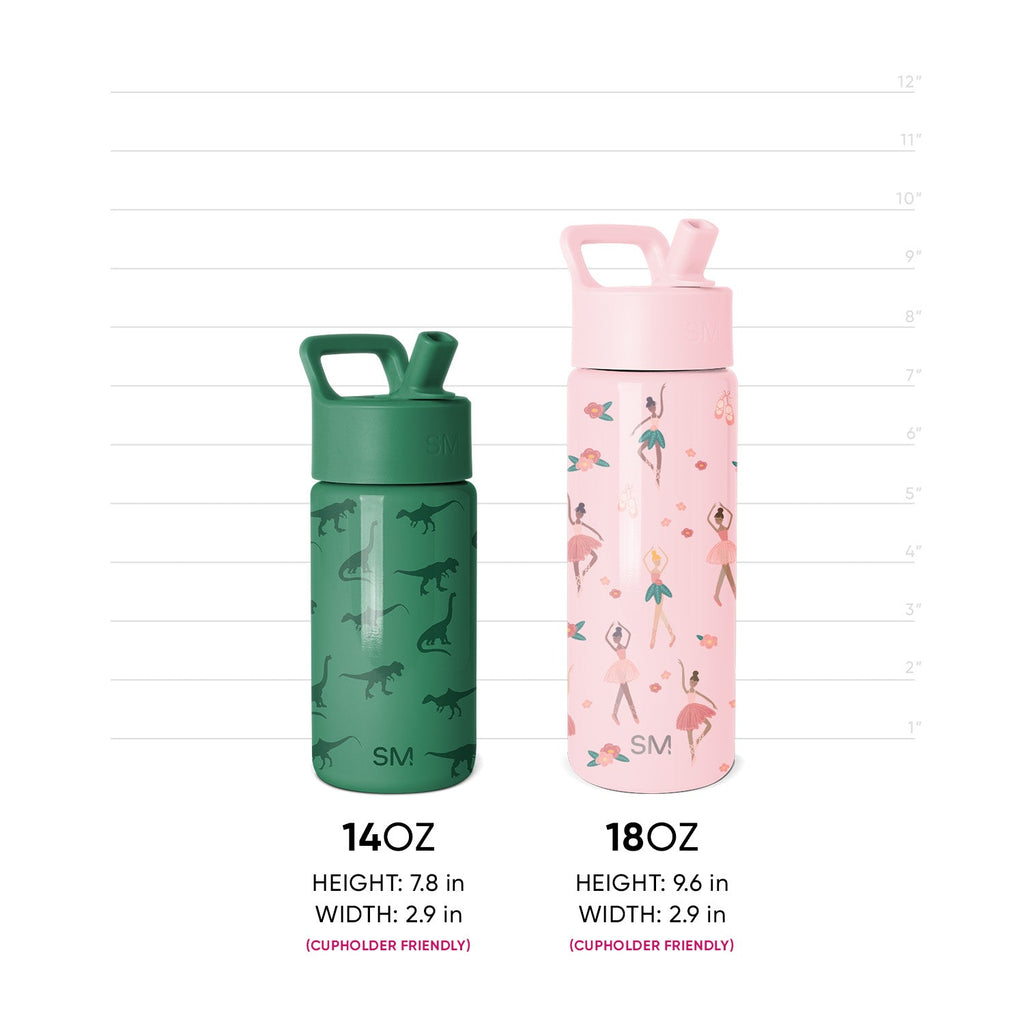 Summit Kids Water Bottle with Straw Lid - Sonic Pals