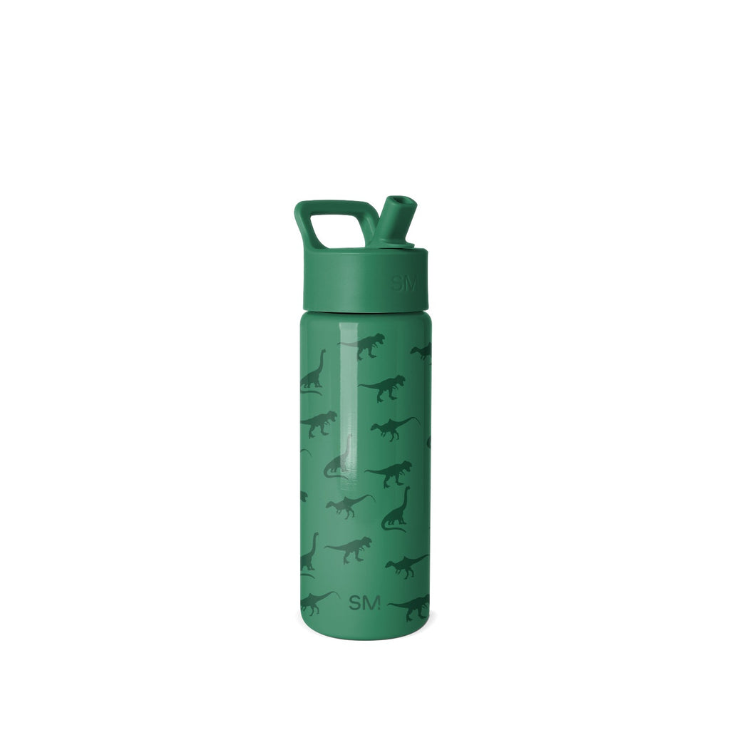 Summit Kids Water Bottle with Straw Lid - Dino World