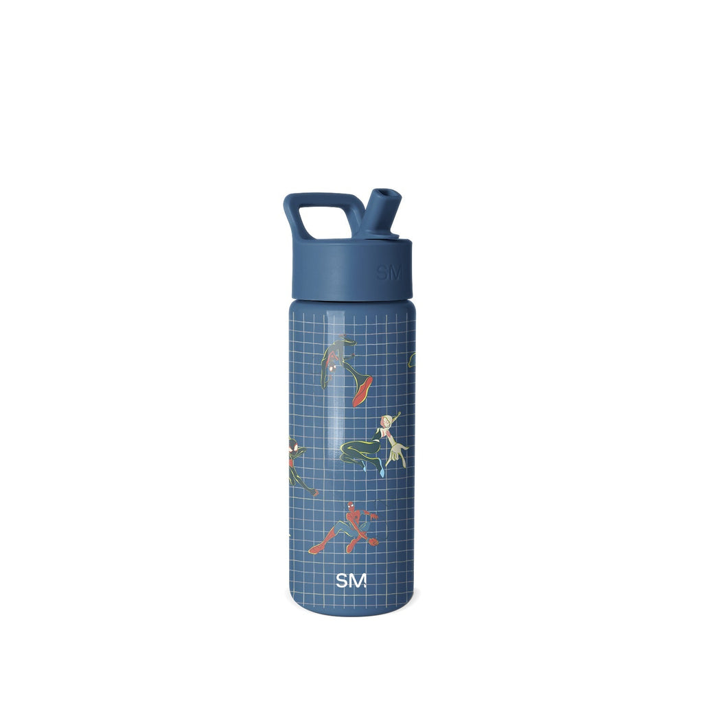 Summit Kids Water Bottle with Straw Lid - Spiderman Friends